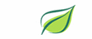 Silk Plant Co logo