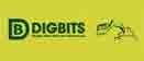 DigBits Ltd logo