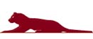Logo of Cougar Pumps