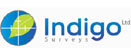 Logo of Indigo Surveys