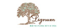 Lignum Resources Ltd logo