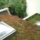 Applications - Green Roofs
