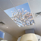 Relax & View Ceiling Panels
