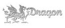 Dragon Display Systems Ltd logo